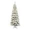5.5ft. Flocked Pencil Pacific Pine Artificial Christmas Tree